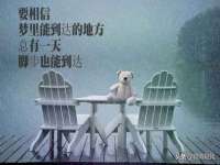 深圳市振华移动通信有限公司