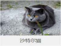 深圳市振华移动通信有限公司