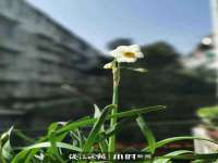 深圳市振华移动通信有限公司