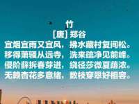 深圳市振华移动通信有限公司