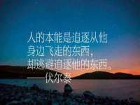 深圳市振华移动通信有限公司