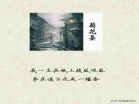 深圳市振华移动通信有限公司